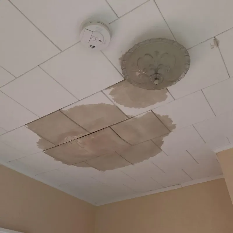 Ceiling Water Damage Repair in Old Jamestown, MO