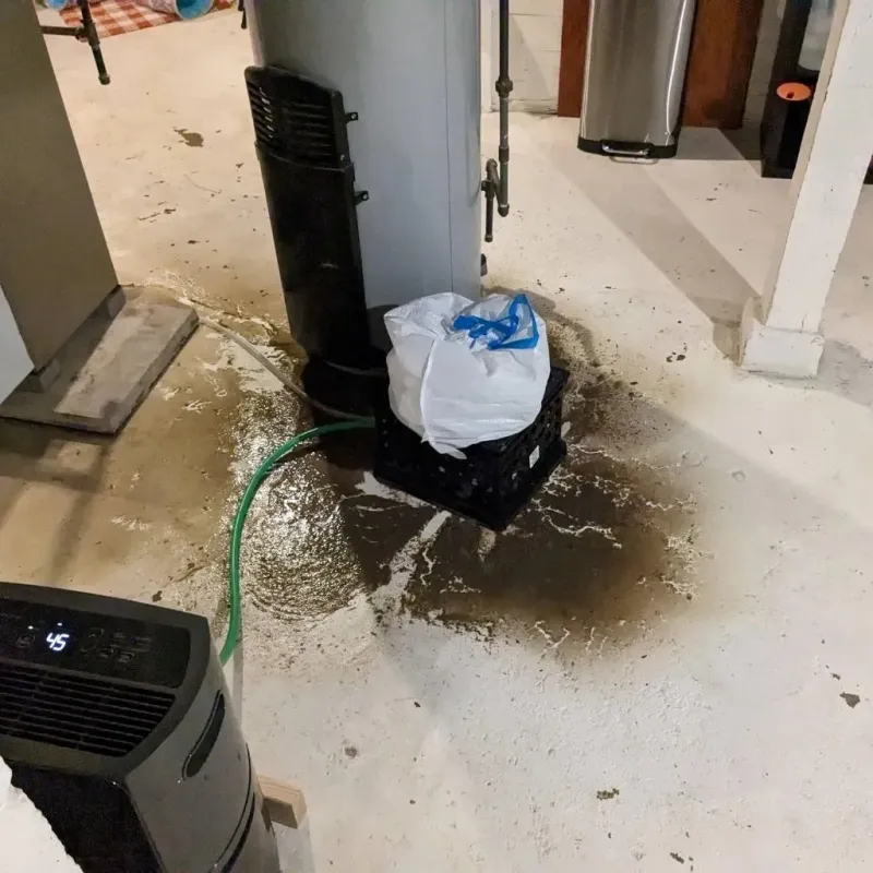 Sewage Backup Cleanup Service in Old Jamestown, MO